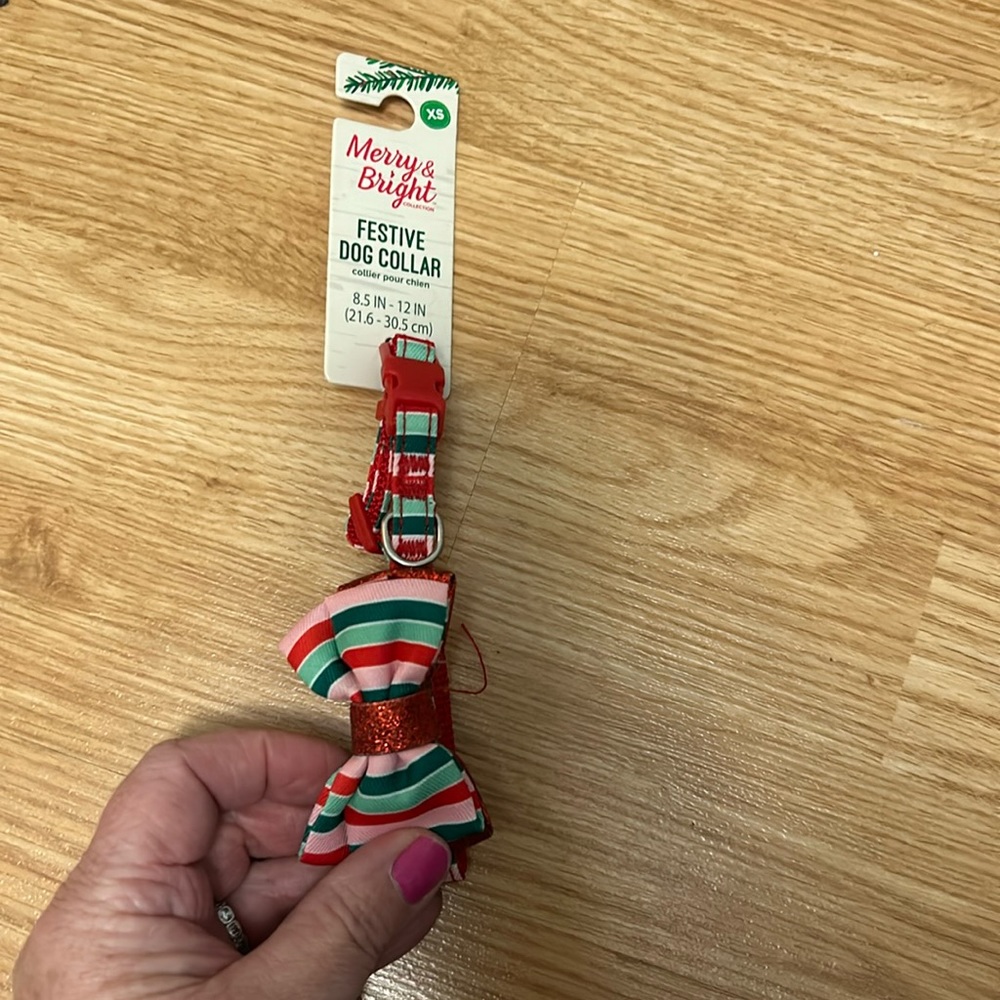 Festive dog collar